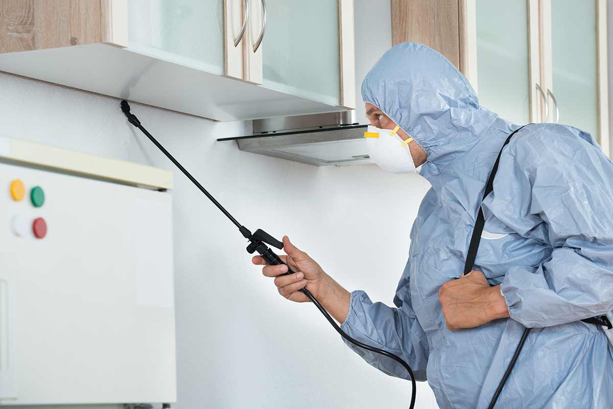 Pest control technician serving Tampa Bay areas